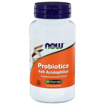 NOW Probiotica 4 x 6 acidophilus (60 vcaps)