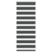 Zebra rolgordijn 60x100 cm stofbreedte zwart 55,9 cm