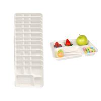 Wegwerp vakjes borden - 50x stuks - 22 x 28 x 2 cm - suikerriet - biologisch afbreekbaar