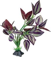 Plant standing purple leaves Repto - Repto Plant standing purple leaves Repto - Repto