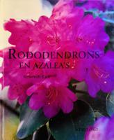 Rododendrons En Azalea'S - thumbnail