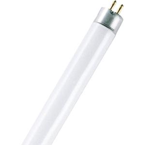 OSRAM TL-lamp Energielabel: G (A - G) G5 13 W Buis (Ø x l) 16 mm x 517 mm 1 stuk(s)