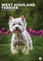 West Highland White Terrier A3 Kalender 2026