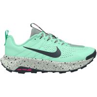 Nike Wildhorse 10 Heren