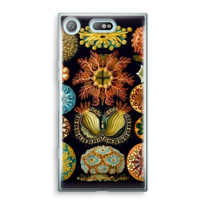 Haeckel Ascidiae: Sony Xperia XZ1 Compact Transparant Hoesje