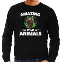 Sweater orang oetan apen amazing wild animals / dieren trui zwart voor heren - thumbnail