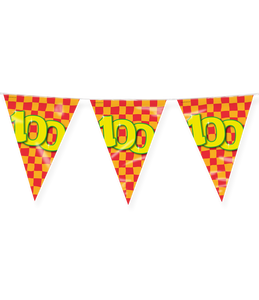 Happy Verjaardag Vlaggenlijn 100 Jaar (10m)