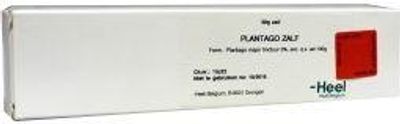 Plantago creme