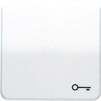 CD 590 T WW  - Cover plate for switch/push button white CD 590 T WW - thumbnail