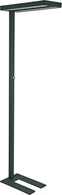 MAULjuvis vloerlamp, LED, zwart