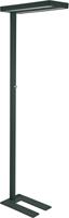 MAULjuvis vloerlamp, LED, zwart