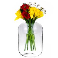 Bloemenvaas Billie - helder transparant glas - D23 x H30 cm - decoratieve vaas - bloemen/takken