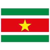 Stickertjes van vlag van Suriname 7.5 x 10 cm   -