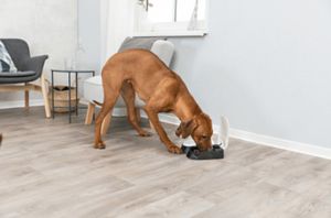 TRIXIE 24372 Kunststof Zwart, Wit Hond Automatische voeder voor huisdieren