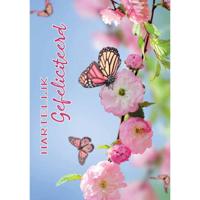 Wenskaarten Gefeliciteerd pak a 10 stuks