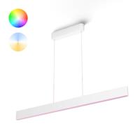 Philips Hue Ensis - White and Color hanglamp - 929003053301