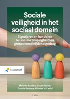 Sociale veiligheid in het sociaal domein (Paperback)