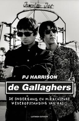 De Gallaghers - Pj Harrison - ebook