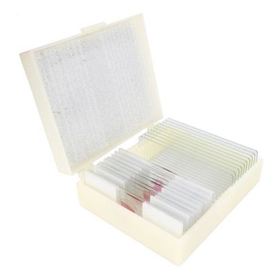 Konus preparaten set algemene biologie (25 stuks)