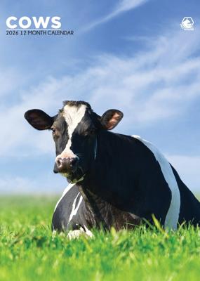 Koeien A3 Kalender 2026