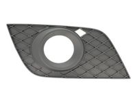 Ventilatiegrille, bumper 6502073538918P