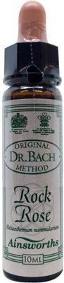 Rock Rose Bach