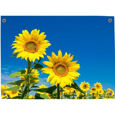 Tuinposter Zonnebloem 5 - Pillow Buddies