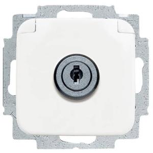 ABB 2CKA002018A1479 Apparaatinzetstuk IP20 Zuiver wit (RAL 9010), Wit