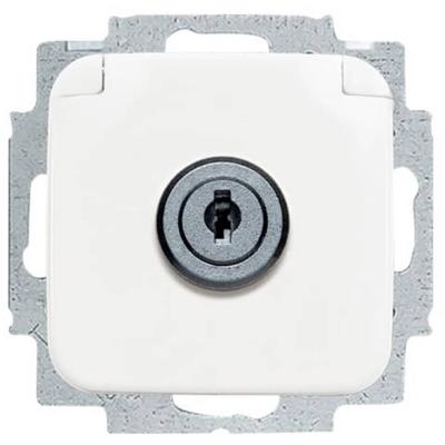 ABB 2CKA002018A1479 Apparaatinzetstuk IP20 Zuiver wit (RAL 9010), Wit