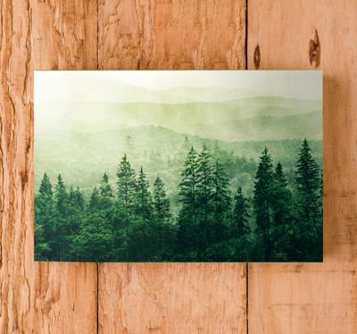Canvas natuur landschap Groene bos heuvel boomtoppen