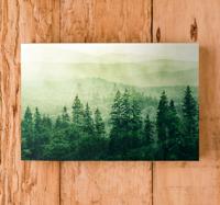 Canvas natuur landschap Groene bos heuvel boomtoppen Canvas natuur landschap Groene bos heuvel boomtoppen