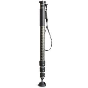 Gitzo Series 2 GM2542 monopod
