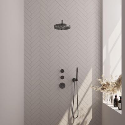 BRAUER Stripe Thermostatische Inbouw Regendouche - SET 02 - 25cm douchekop - gebogen muurarm - staaf handdouche - doucheslang - wandaansluitbocht - gunmetal geborsteld PVD 5-GM-367