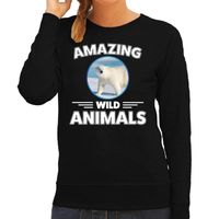 Sweater ijsberen amazing wild animals / dieren trui zwart voor dames - thumbnail