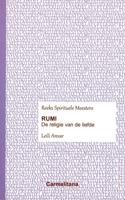 Rumi (Paperback)
