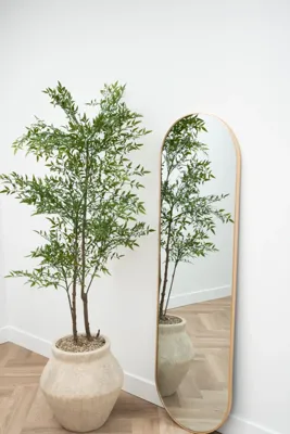 Ovale spiegel 170x50 cm - Zacht goud