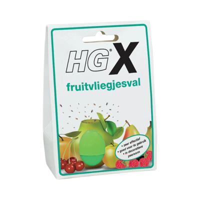 HG x fruitvliegjesval