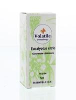 Volatile Eucalyptus citriodora
