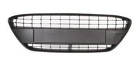 Ventilatiegrille, bumper 6509012565910P