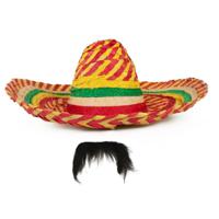 Carnaval verkleed set - Mexicaanse sombrero hoed met plaksnor - gekleurd - heren