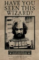Harry Potter Wanted Sirius Black Poster 61x91.5cm - thumbnail