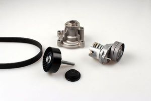 Waterpomp + multiriemset PK05810