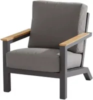Capitol living chair with 2 cushions