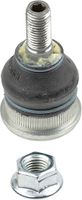 Fuseekogel 3600101