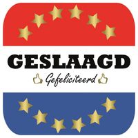 45x Geslaagd / afgestudeerd bierviltjes   -