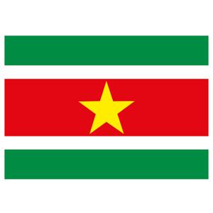 Vlag van Suriname stickers - 7.5 x 10 cm - Binnen/buiten