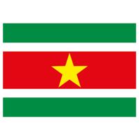 Vlag van Suriname stickers - 7.5 x 10 cm - Binnen/buiten