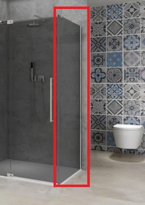 Vaste Wand Van Rijn Products ST08 100x200 cm 8 mm Rookglas met Muurprofiel RVS tbv Hoekcabine