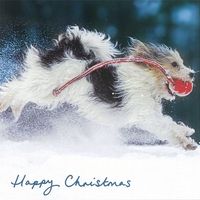 Kerstkaart - Hond rennend door Sneeuw (Set van 5) - thumbnail