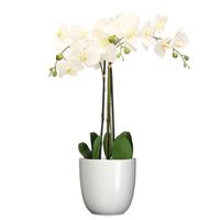 Orchidee kunstplant wit - 75 cm - inclusief bloempot wit glans - thumbnail